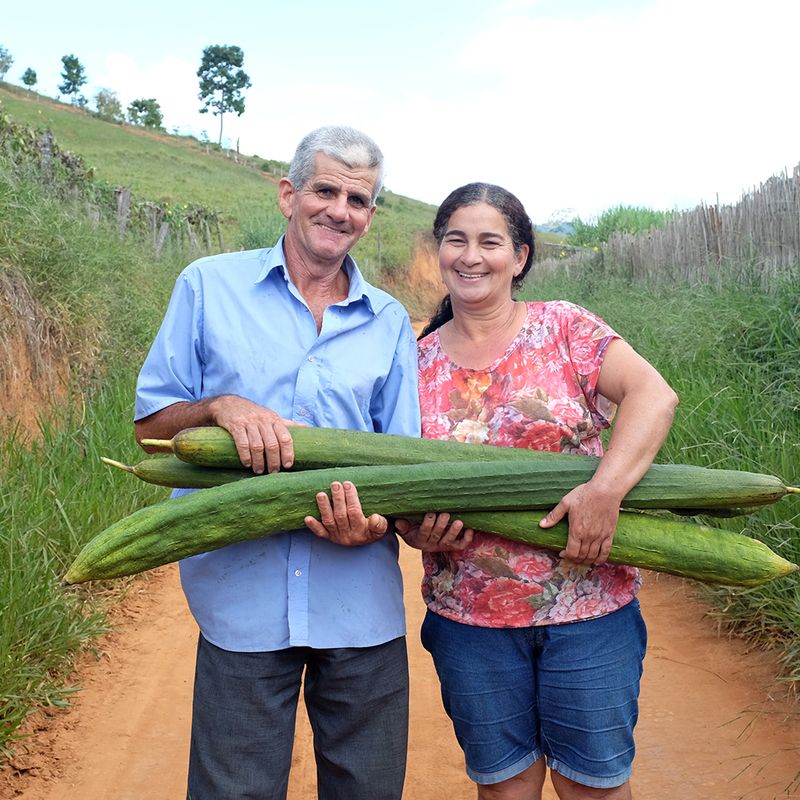 Esponja natural de luffa ecológica 100% - Fieito